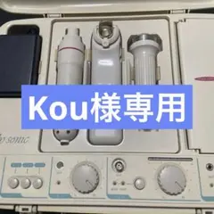 2026年最新】リリーソニックの人気アイテム - メルカリ