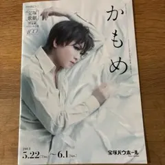 2026年最新】礼真琴 フォトブックの人気アイテム - メルカリ