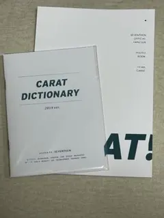 2026年最新】carat 4期の人気アイテム - メルカリ