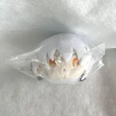 2026年最新】鶴丸国永 もちマスの人気アイテム - メルカリ