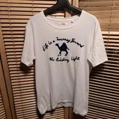 2026年最新】hrm ラクダの人気アイテム - メルカリ