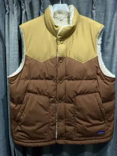 2026年最新】パタゴニア ダウンベスト ストライプの人気アイテム