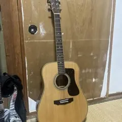 2026年最新】BlueRidge ギターの人気アイテム - メルカリ