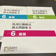 2026年最新】馬渕 公開模試 過去問 小6の人気アイテム - メルカリ