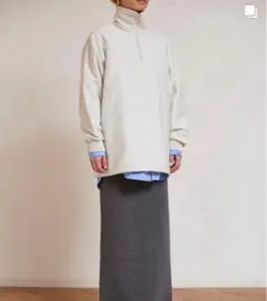 2026年最新】Pheeny ハーフジップの人気アイテム - メルカリ