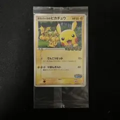 2026年最新】ポケパーク 未開封の人気アイテム - メルカリ