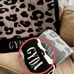 2026年最新】GYDA ノベルティ ブランケットの人気アイテム - メルカリ