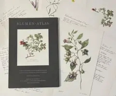 2026年最新】elsa felskoの人気アイテム - メルカリ