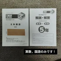2026年最新】日能研 模試 5年生の人気アイテム - メルカリ