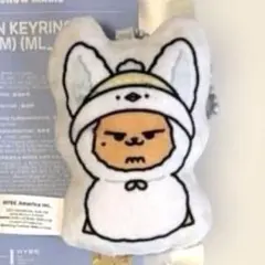 2026年最新】ファンチュン クッションの人気アイテム - メルカリ