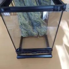 2026年最新】温室 ガラスケースの人気アイテム - メルカリ