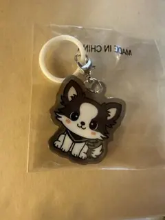 2026年最新】登坂広臣キーホルダーの人気アイテム - メルカリ