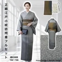 2026年最新】訪問着 粋の人気アイテム - メルカリ