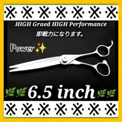 2026年最新】nbaa シザーの人気アイテム - メルカリ