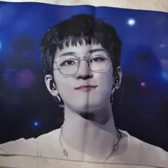 2026年最新】seventeen ウォヌ スローガンの人気アイテム - メルカリ