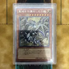 2026年最新】聖域を守護せし光の龍 エクストラシークレットの人気