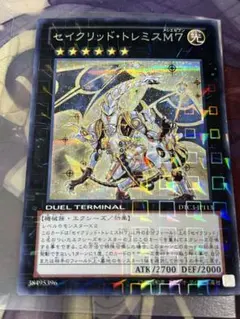 2026年最新】セイクリッドトレミス dtcの人気アイテム - メルカリ