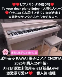 2026年最新】kawai cn201の人気アイテム - メルカリ