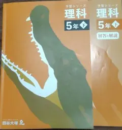 2026年最新】四谷大塚 予習シリーズ 5年下の人気アイテム - メルカリ