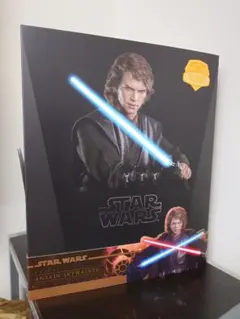 2026年最新】ホットトイズ アナキン・スカイウォーカーの人気アイテム