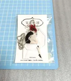 2026年最新】宝石の国展の人気アイテム - メルカリ