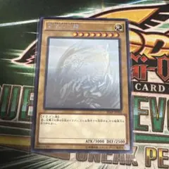 2026年最新】青眼の白龍 ホログラフィックパラレルの人気アイテム