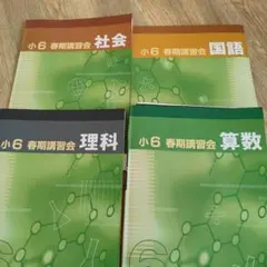 2026年最新】早稲田アカデミー 小5 春期講習の人気アイテム - メルカリ