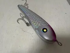 2026年最新】ローカルスタンダード サージベイト170の人気アイテム