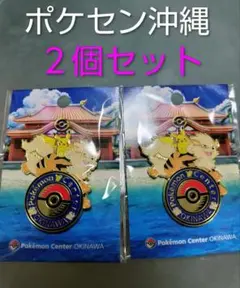 2026年最新】ポケモン ピンズ -沖縄 -ポケモンセンター沖縄の人気