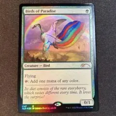 2026年最新】極楽鳥 foilの人気アイテム - メルカリ