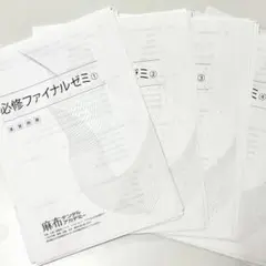 2026年最新】必修ファイナルゼミの人気アイテム - メルカリ