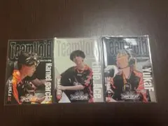 2026年最新】fnatic カードの人気アイテム - メルカリ