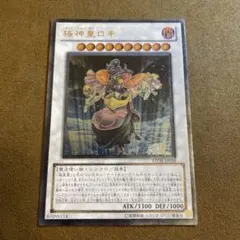 2026年最新】遊戯王 極星の人気アイテム - メルカリ