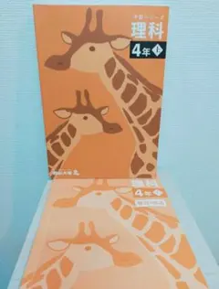 2026年最新】四谷大塚 予習シリーズ 4年の人気アイテム - メルカリ