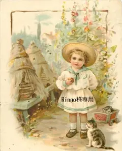 2026年最新】ビスクドール ウィッグの人気アイテム - メルカリ