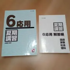 2026年最新】日能研 6年 夏期講習の人気アイテム - メルカリ