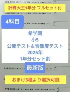 2026年最新】希学園 公開テスト 小5の人気アイテム - メルカリ