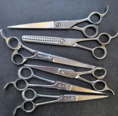 2026年最新】国王シザーの人気アイテム - メルカリ