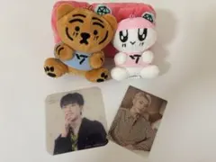 2026年最新】seventeen ホシ ぬいぐるみの人気アイテム - メルカリ