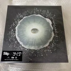 2026年最新】siip グッズの人気アイテム - メルカリ