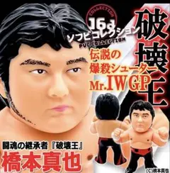 2026年最新】ハッスルプロレスの人気アイテム - メルカリ