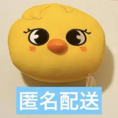 2026年最新】ポガリ ブランケットの人気アイテム - メルカリ