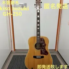 2026年最新】木曽 ギターの人気アイテム - メルカリ