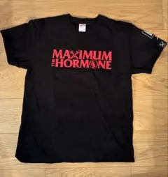 2026年最新】マキシマムザホルモン サインの人気アイテム - メルカリ