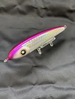 2026年最新】ローカルスタンダード パドルベイトの人気アイテム - メルカリ