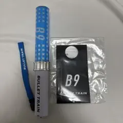 2026年最新】超特急 b9 ペンライトの人気アイテム - メルカリ