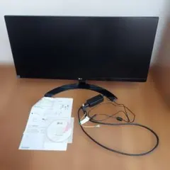 2026年最新】29UM59-Pの人気アイテム - メルカリ