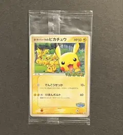 2026年最新】ポケパークのピカチュウ 未開封の人気アイテム - メルカリ