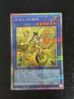 2026年最新】オオヒメの御巫 スリーブの人気アイテム - メルカリ