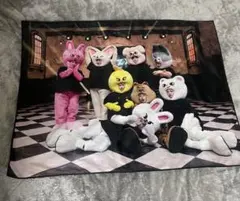 2026年最新】skzooブランケットの人気アイテム - メルカリ